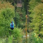 Grizedale Forest - Go Ape